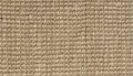 Flax